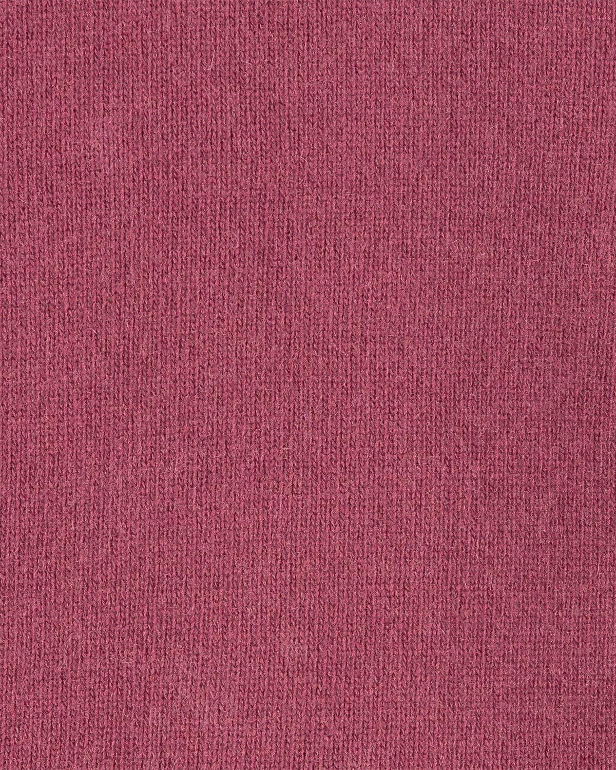 Ragnar Burgundy Rollneck
