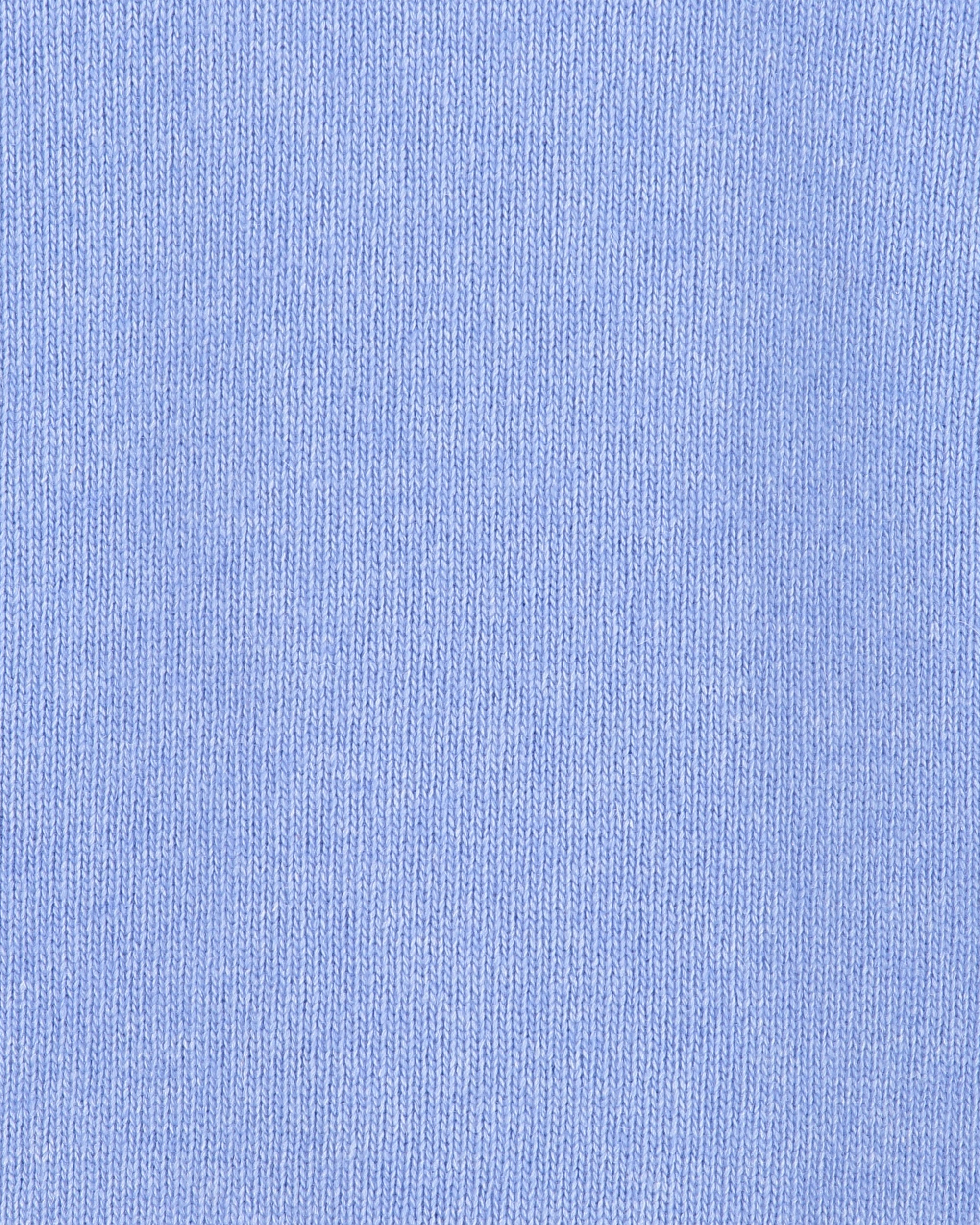 Ragnar Light Blue Rollneck